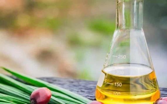 Cómo se relaciona el aceite de palma y la propagación del cáncer