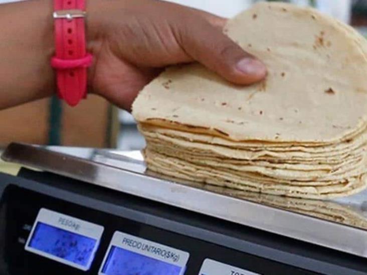 Precio de la tortilla alcanza un incremento histórico Precio de la tortilla alcanza un incremento histórico