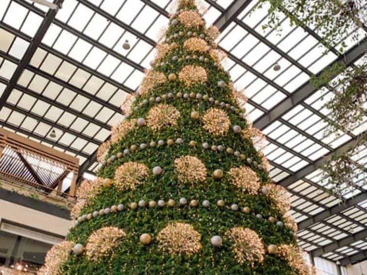 Por bots, se agotan productos rápidamente en tiendas en línea durante Navidad Por bots, se agotan productos rápidamente en tiendas en línea durante Navidad