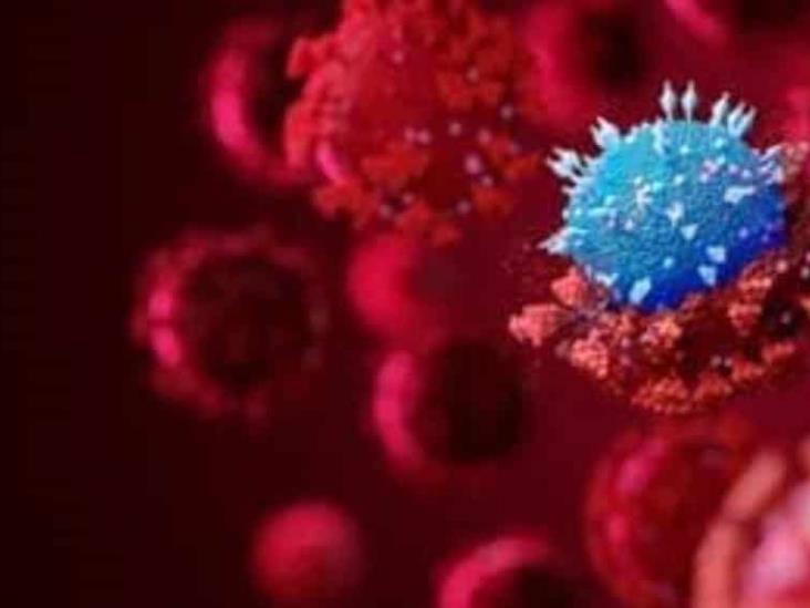 Ómicron: Sudáfrica anuncia que podría haber pasado el punto máximo de la cuarta ola y elimina el toque de queda Ómicron: Sudáfrica anuncia que podría haber pasado el punto máximo de la cuarta ola y elimina el toque de queda