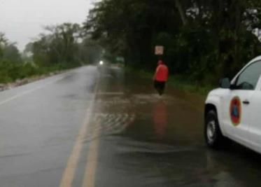 Lluvias derriban árboles y revientan cables de alta tensión en Jalapa