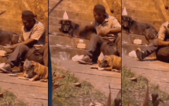 Hombre en situación de calle celebra con pastel cumpleaños de sus perros
