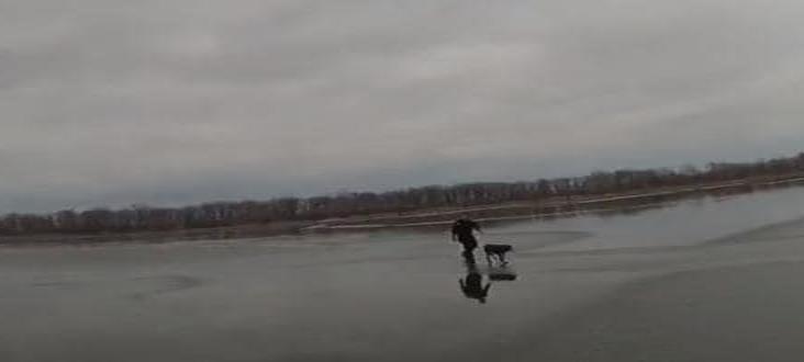 Policía al rescata a una perrita tras caer en un lago congelado Policía al rescata a una perrita tras caer en un lago congelado