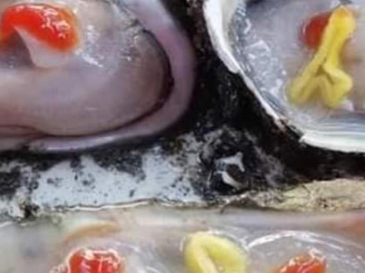 Detectan salmonella en ostiones en Paraíso Detectan salmonella en ostiones en Paraíso