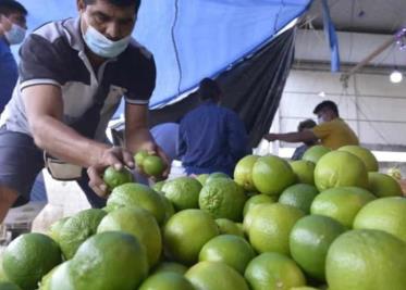 Macuspana, Tacotalpa, Jalpa, Centla y Emiliano Zapata son los municipios con mayor número de aceptación