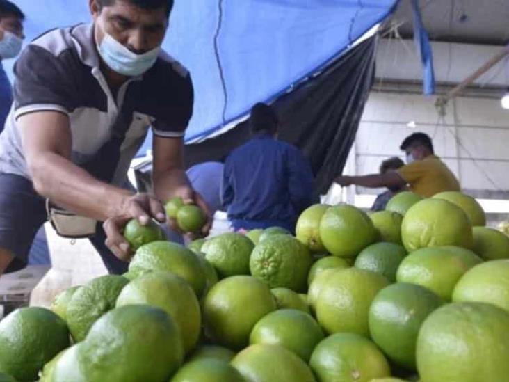 Se duplica el costo de limón Se duplica el costo de limón