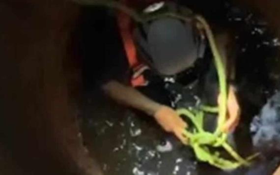 Bomberos de Protección Civil rescatan a perrito tras caer a un pozo de agua