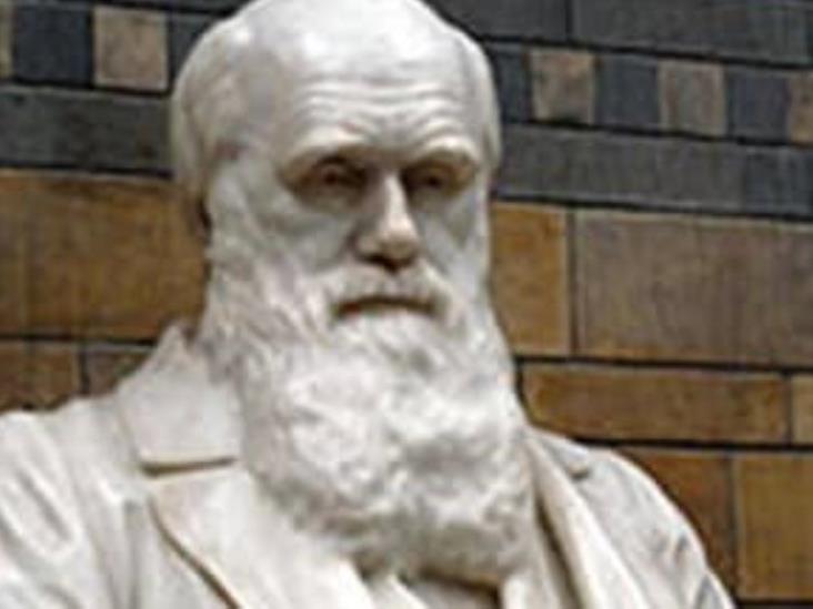 El sexismo victoriano influyó en las teorías de evolución de Darwin: investigadores El sexismo victoriano influyó en las teorías de evolución de Darwin: investigadores