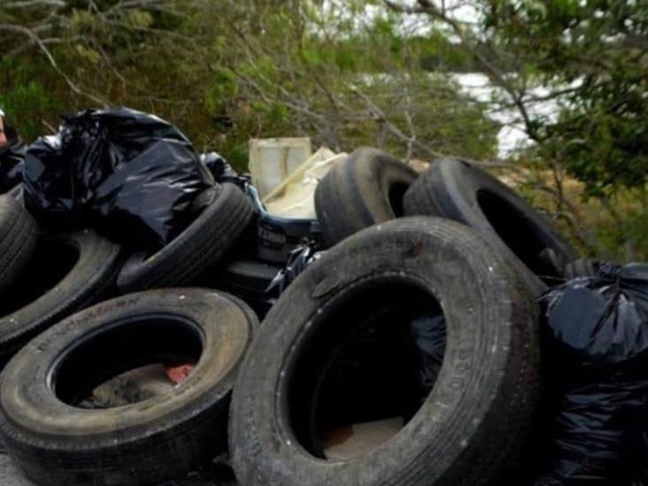 Recolectan toneladas de basura en la ciénega de Puerto Progreso en Yucatán Recolectan toneladas de basura en la ciénega de Puerto Progreso en Yucatán