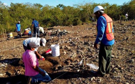 En salvamento, más de 3 mil 500 vestigios arqueológicos hallados en obras del Tren Maya entre Izamal y Cancún