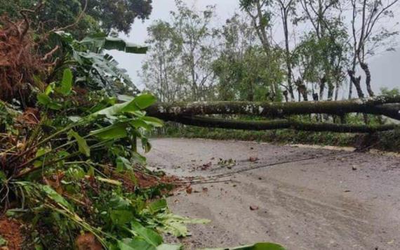Lluvias provocan deslizamiento de tierra en la carretera Tapijulapa-Oxolotán