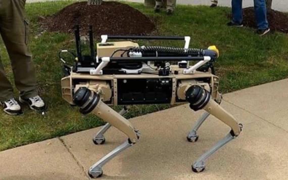 EU implementa perros robot en frontera con México para vigilar zonas de alto riesgo