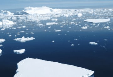 Menos hielo en glaciares del estimado para subir el nivel del mar