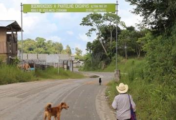 Acciones de búsqueda de personas desaparecidas en el municipio de Pantelhó, Chiapas