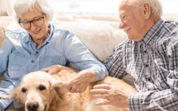 Los dueños de mascotas envejecen mejor, según un estudio