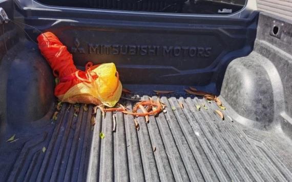 Ladrones roban 250 kilos de naranjas de camioneta estacionada; era donación a un asilo en Hermosillo, Sonora