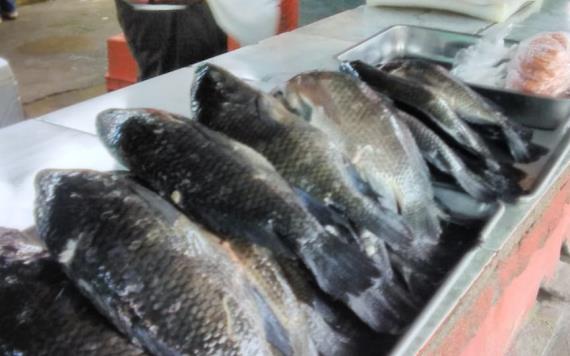Escasea mojarra por falta de producción en el estado: Líder de expendedores de pescado