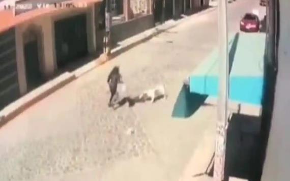 Perros pitbull atacan a niña de dos años en el Edomex