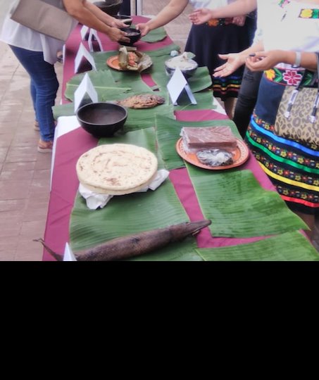 Con tradiciones gastronómicas, en Nacajuca celebran el Día Internacional de la Lengua Materna Con tradiciones gastronómicas, en Nacajuca celebran el Día Internacional de la Lengua Materna