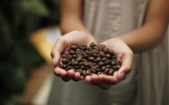 ¿Adoras el café en grano? Estos son los beneficios que ofrece al cerebro 