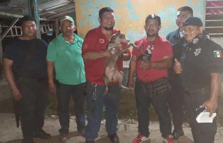 Salvan a perrito que había caído en pozo Salvan a perrito que había caído en pozo