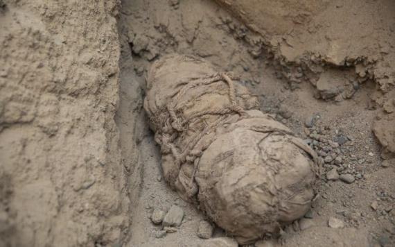 Hallan 20 momias de más de 800 años en Perú