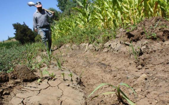Pronostican sequías en abril, mayo y junio en Tabasco