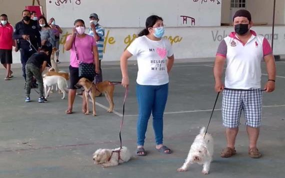 En Jonuta inicia campaña de esterilización de gatos y perros para evitar su reproducción