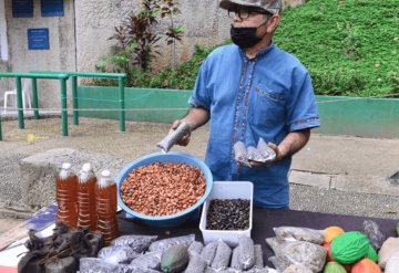 Promotor de la semilla de cacao, considera que es un atractivo para el turismo en Tabasco