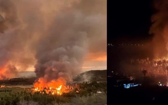 Ocurre incendio en zona de palmar en Baja California Sur