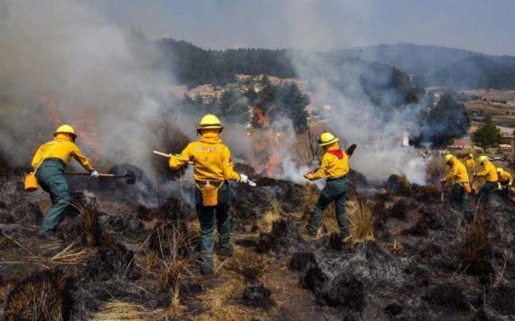 En lo que va del año, más de mil incendios forestales en el país