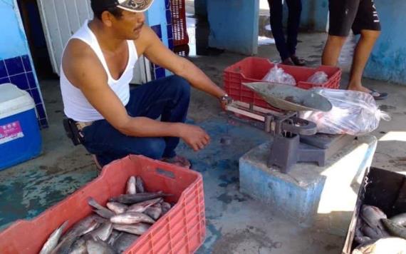 Garantizan cooperativistas abasto de pescado nativo en Cuaresma y Semana Santa 