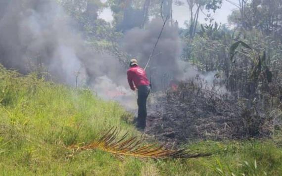 Sofocan incendio forestal cerca de planta potabilizadora de Jalapa