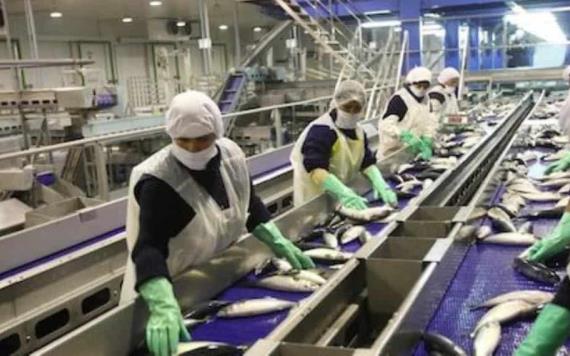 Cofepris iniciará  nuevo proceso de certificación de plantas de pesca
