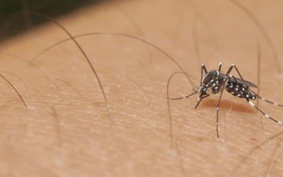 Surge un caso similar al dengue hemorrágico en Jalpa de Méndez