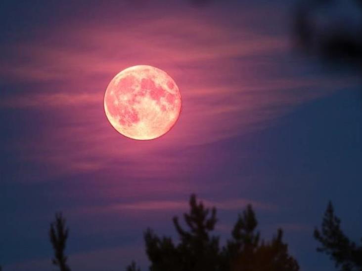 Luna rosa de abril; ¿cuándo verla y por qué se llama así? Luna rosa de abril; ¿cuándo verla y por qué se llama así?