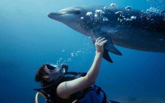 Entrenadora fue atacada por un delfín en pleno espectáculo del Miami Seaquarium de Florida