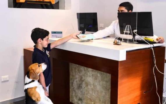 "Pet Friendly" un distintivo único que tienen ciertos hoteles, donde el ciudadano puede hospedarse junto con sus mascotas