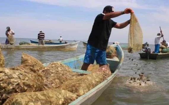 Con tecnología de laboratorio, Tabasco busca rescatar potencial de bancos ostrícola de Cárdenas y Paraíso