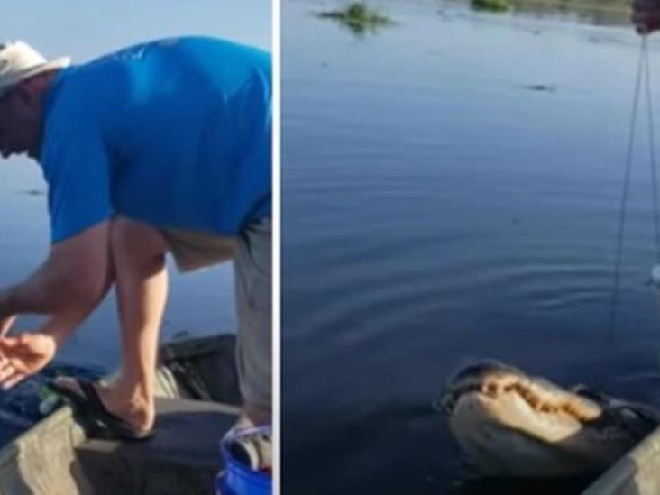 Hombre logra pescar a un cocodrilo pensando que era un pez Hombre logra pescar a un cocodrilo pensando que era un pez