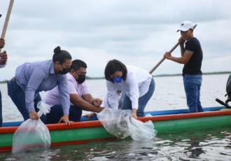 La alcaldesa Yolanda Osuna Huerta liberó 250 mil crías de mojarra tilapia