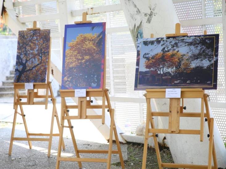 En segundo día del Primer Festival Guayacán & Macuilí 2022 se llevaron a cabo diversas actividades en distintos sitios del Centro En segundo día del Primer Festival Guayacán & Macuilí 2022 se llevaron a cabo diversas actividades en distintos sitios del Centro
