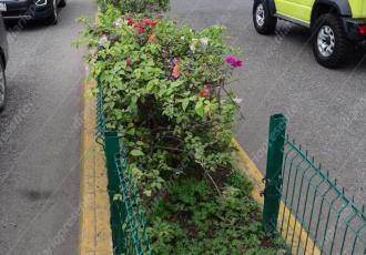 Jardineras de paseo Tabasco en deterioro tras ser vandalizadas por amantes de lo ajeno