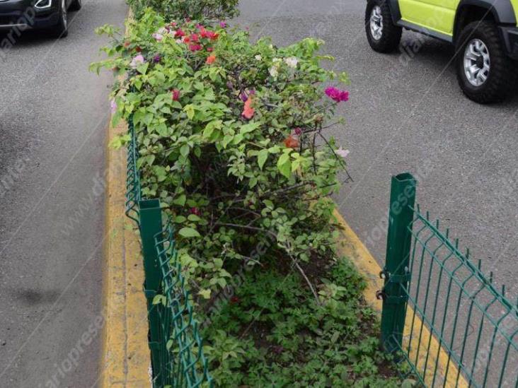 Jardineras de paseo Tabasco en deterioro tras ser vandalizadas por amantes de lo ajeno Jardineras de paseo Tabasco en deterioro tras ser vandalizadas por amantes de lo ajeno