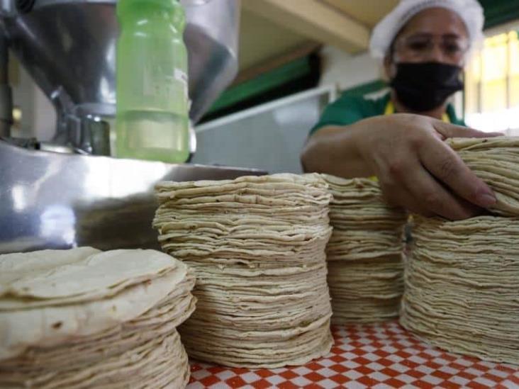 Plan contra la inflación propone mayor producción de granos y eliminación de aranceles para fertilizantes Plan contra la inflación propone mayor producción de granos y eliminación de aranceles para fertilizantes