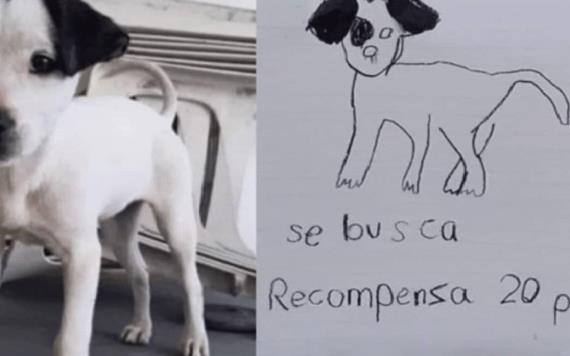 Hermanitas que difundieron dibujo de su perrito perdido en Nuevo León logran recuperarlo