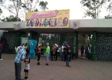 Motociclista le da "aventón" a novia en medio de la carretera para poder llegar a su boda