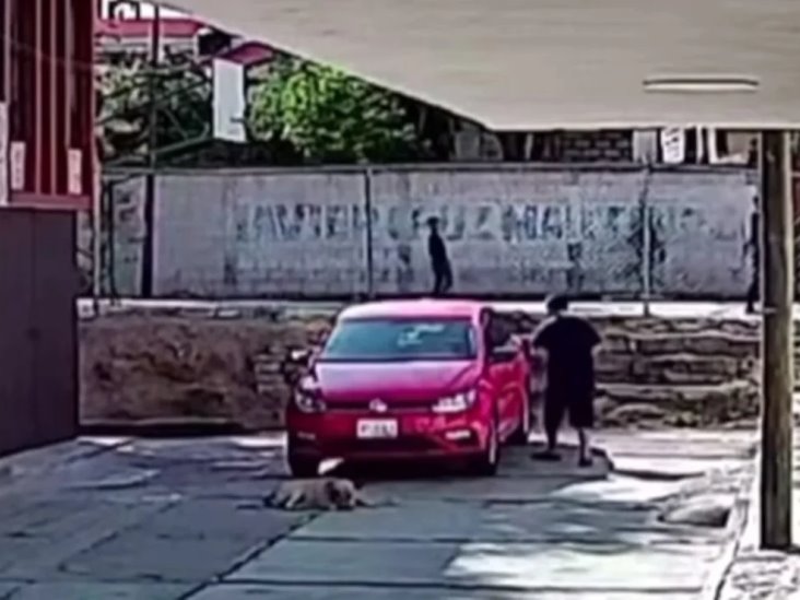 Automovilista en Puebla atropella a propósito a un perro Automovilista en Puebla atropella a propósito a un perro