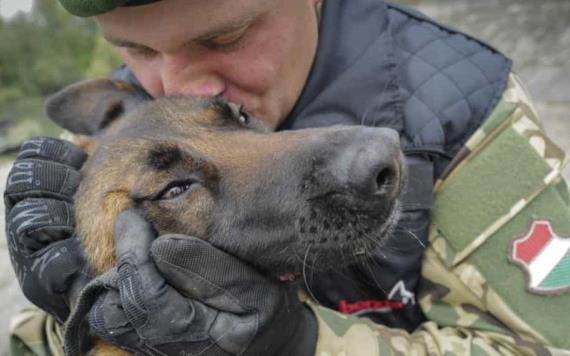 De ser maltratado a miembro del ejército; en Hungría, perrito encuentra nueva vida