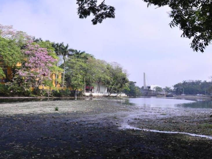 Proyecto de vialidad sí impactará a la Laguna de las Ilusiones Proyecto de vialidad sí impactará a la Laguna de las Ilusiones